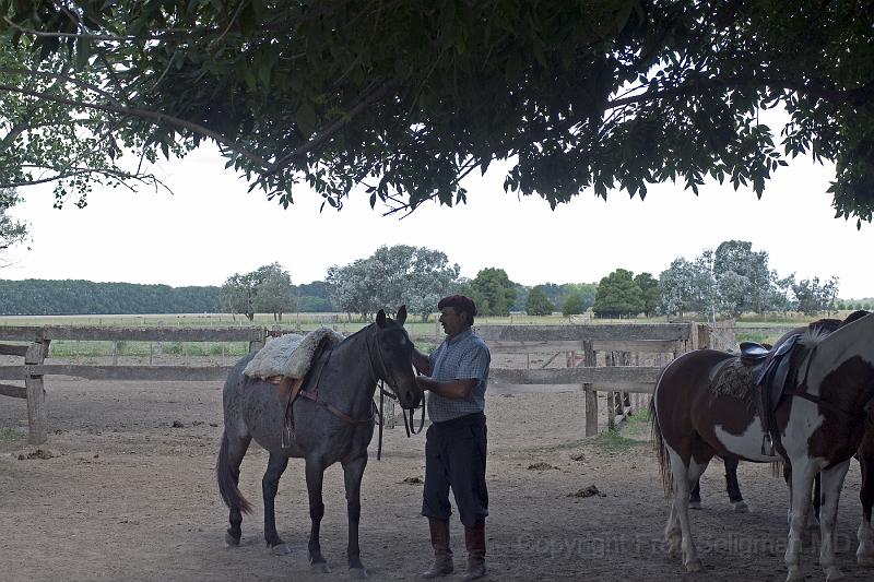20071202_145611  D200 4200x2800.jpg - Preparing the horses, San Mateo Estancia, San Miguel de Monte, Argentina